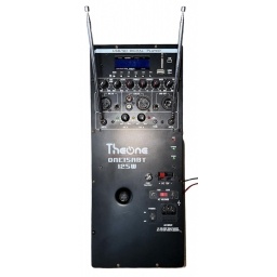 Modulo de Audio para Caja Activa  220110 12V THEONE