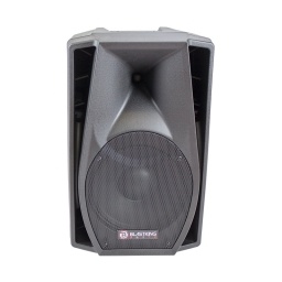 Caja Pasiva de 12"  Blastking
