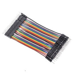 Cable Puente Dupont  Macho Macho 10CM 40P 2,54MM