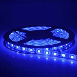 Tira de LED azul - 5mt