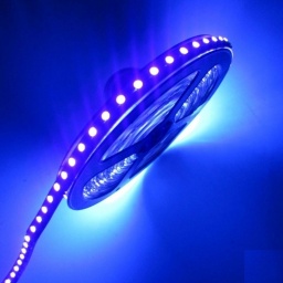 Tira de LED Purpura - 5mt