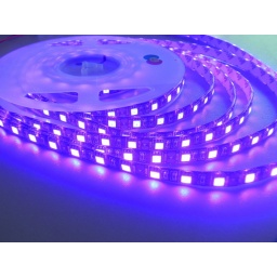 Tira de LED Violeta- 5mt