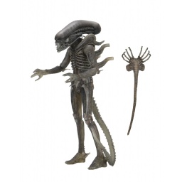 Figura Alien 40 Aniversario Xenomorfo Giger