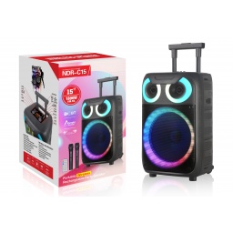 Parlante Inalambrico Portatil 15" con Luces + Microfono Inalambrico NDR