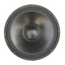 Parlante 12"  rango extendido 40 - 4000 Hz. VOYZ