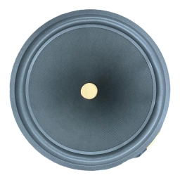 Cono para parlantes 15 - Borde de espuma  MIYAKO USA