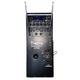 Modulo de Audio para Caja Activa  220110 12V THEONE