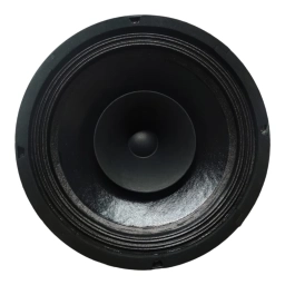 Parlante woofer 10 doble cono suspension tela  FIVE STAR SERIES