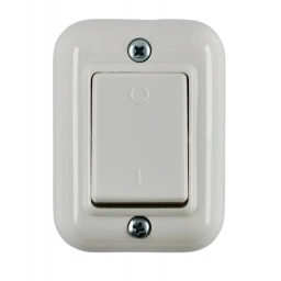 Interruptor Bipolar con Roseta 10A MOLVENO