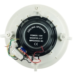 PARLANTE PTECHO MUSICA FUNCIONAL NIPPON