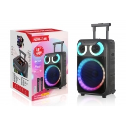 Parlante Inalambrico Portatil 15 con Luces + Microfono Inalambrico NDR