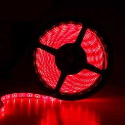 Tira de LED Rojo - 5mt