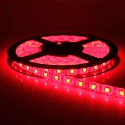 Tira de LED roja - 5mt