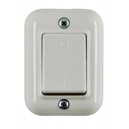 Interruptor Bipolar con Roseta 10A