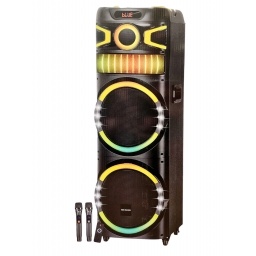 Parlante 2 X 12  con Bater�a NDR